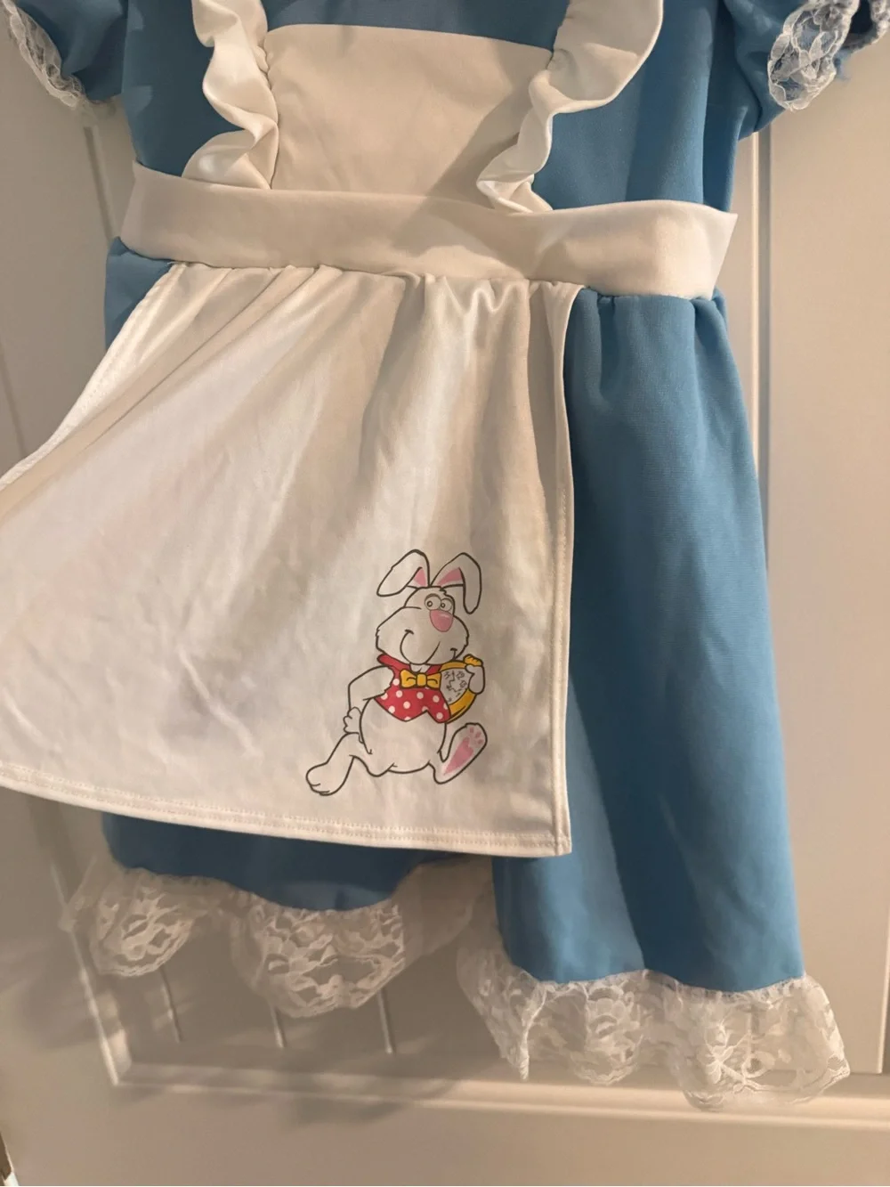 California Costume Alice in Wonderland Dress Costume 3T 4T